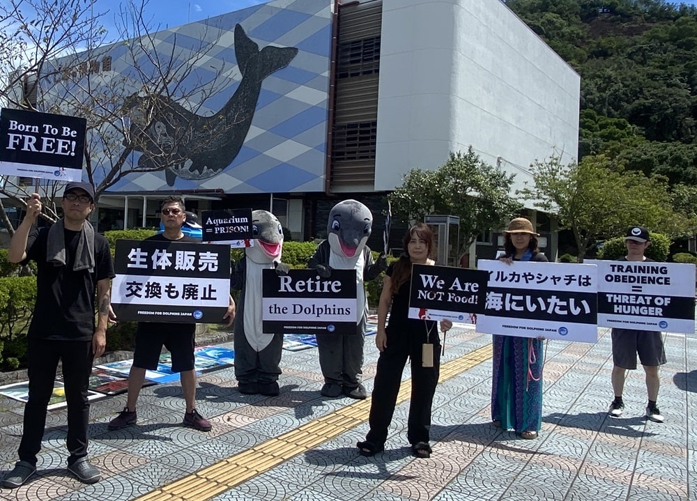 Captive dolphin protest, Taiji Whale Museum