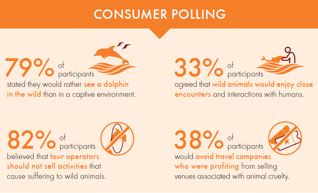 Captive dolphin consumer polling