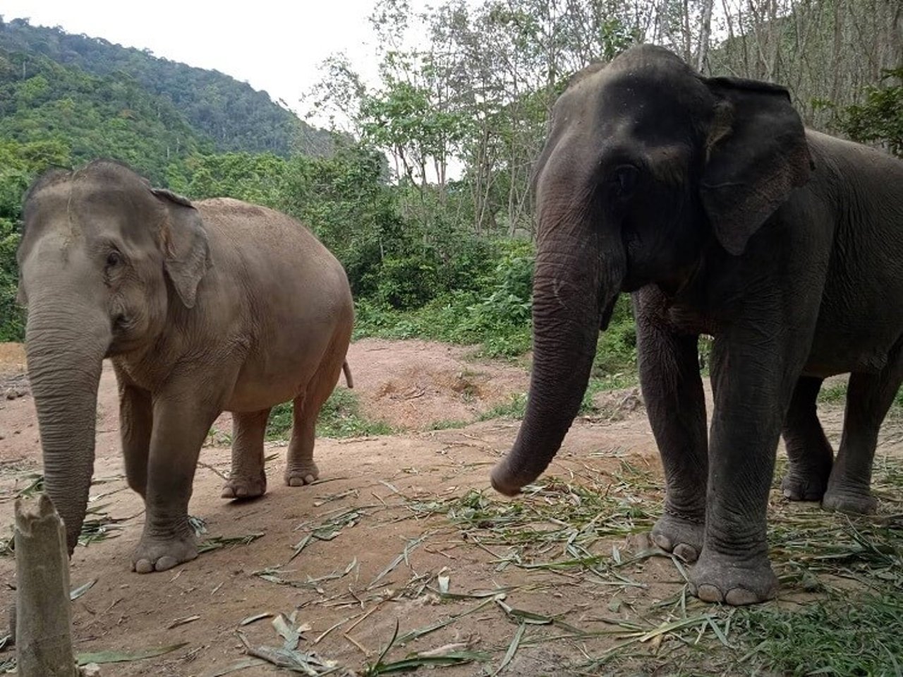 Jahn (left) and Thongsuk (right) get to know each other 