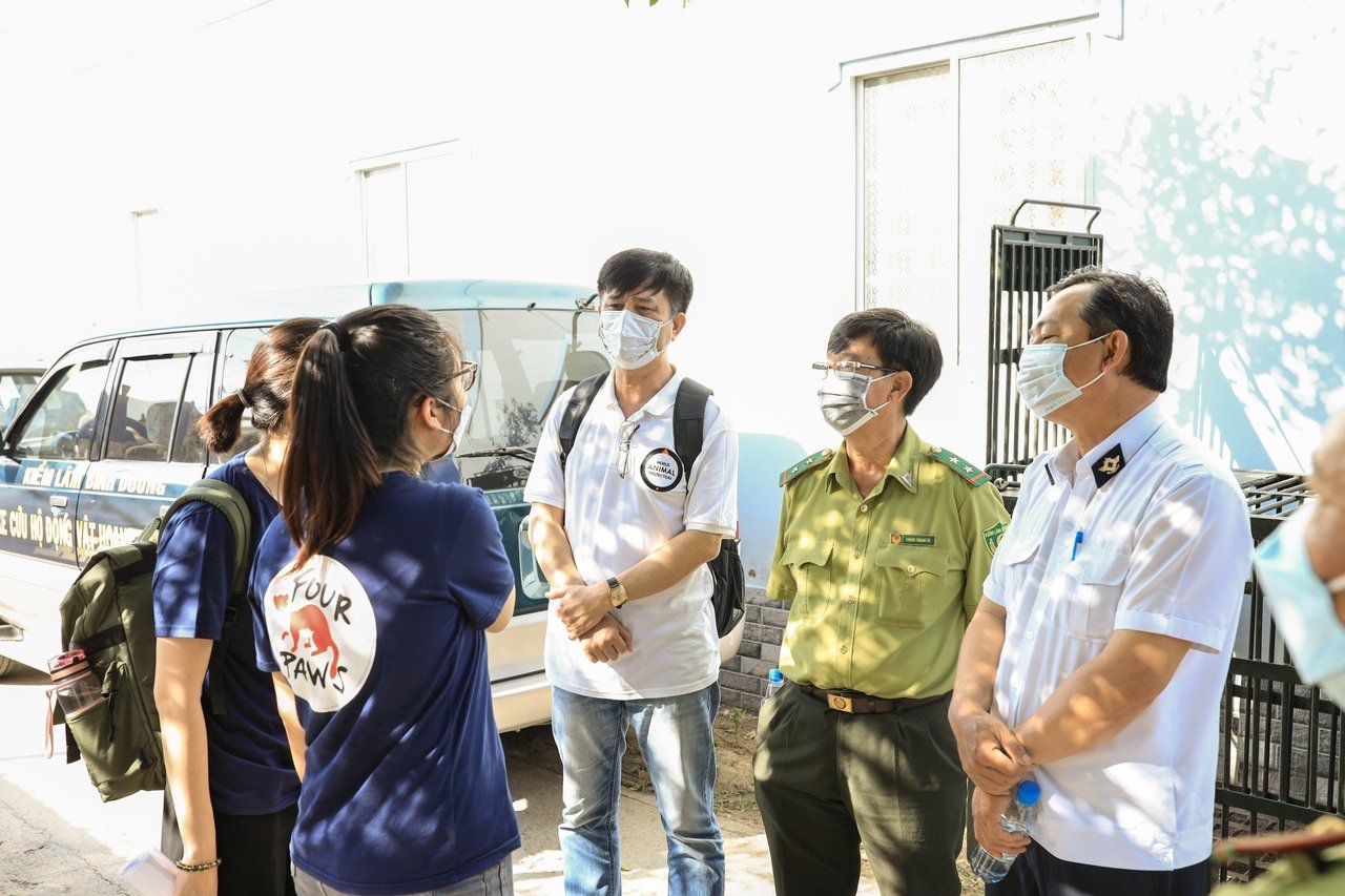 Nine bears rescued in Vietnam 