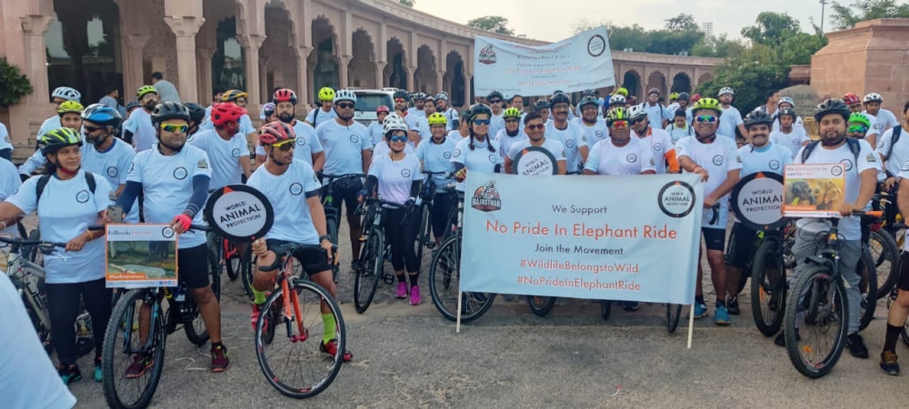 Amer Fort cycle event