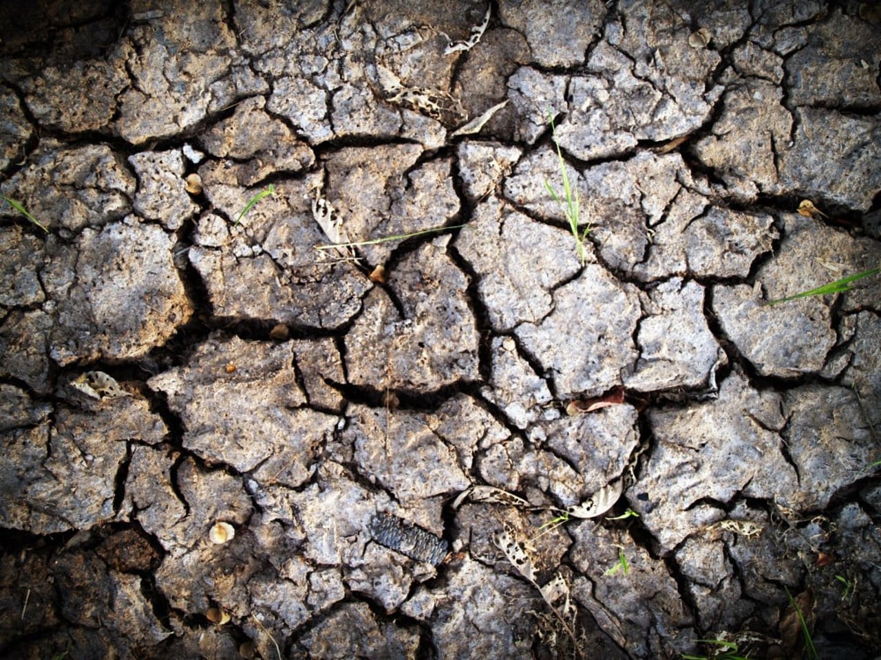 Close up on soil cracks