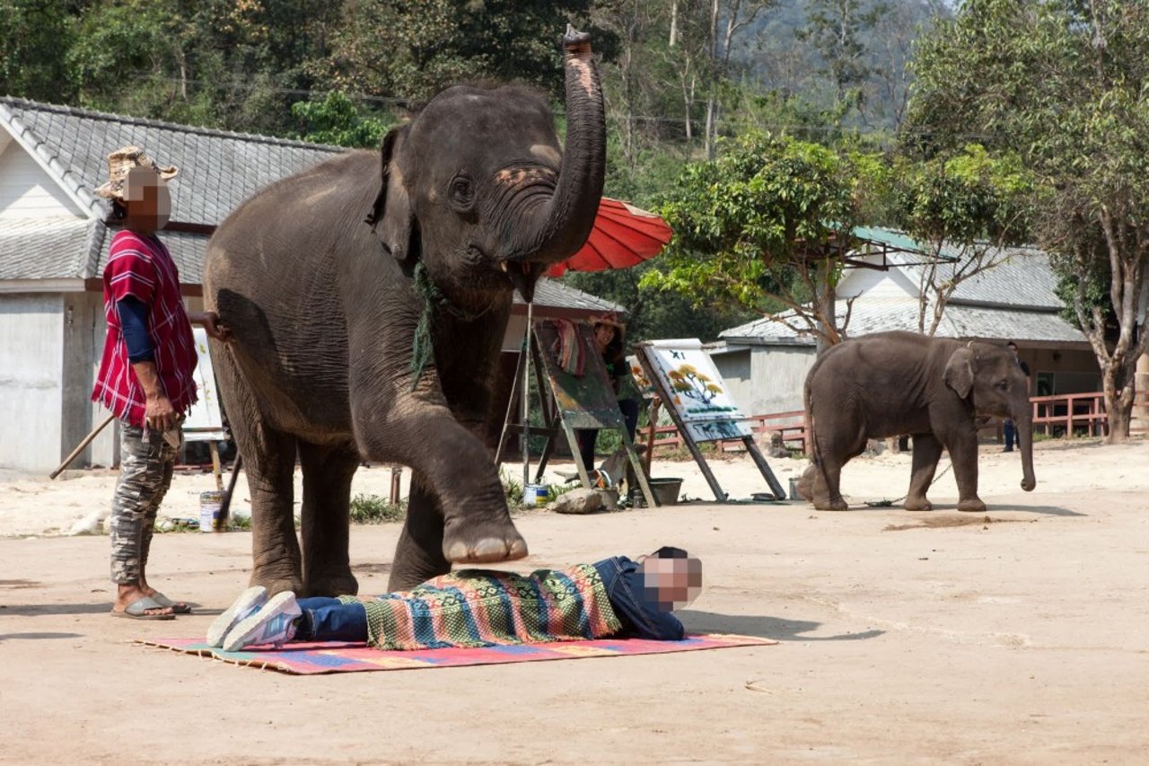 elephant_entertaining_tourists_at_attraction_in_thailand