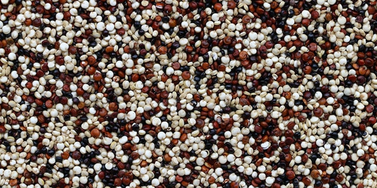 A flatlay of dry quinoa grains of all varieties: black, brown, yellow and white.
