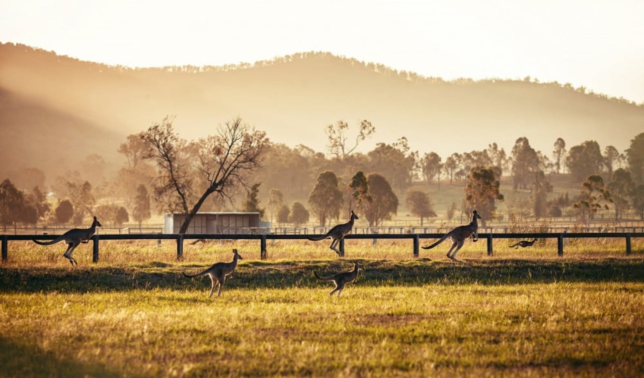 Smoke spreading across Bilpin, in New South Wales. Credit Line: Peter Tremain