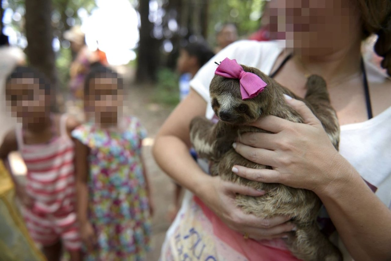 tourist_holding_a_sloth