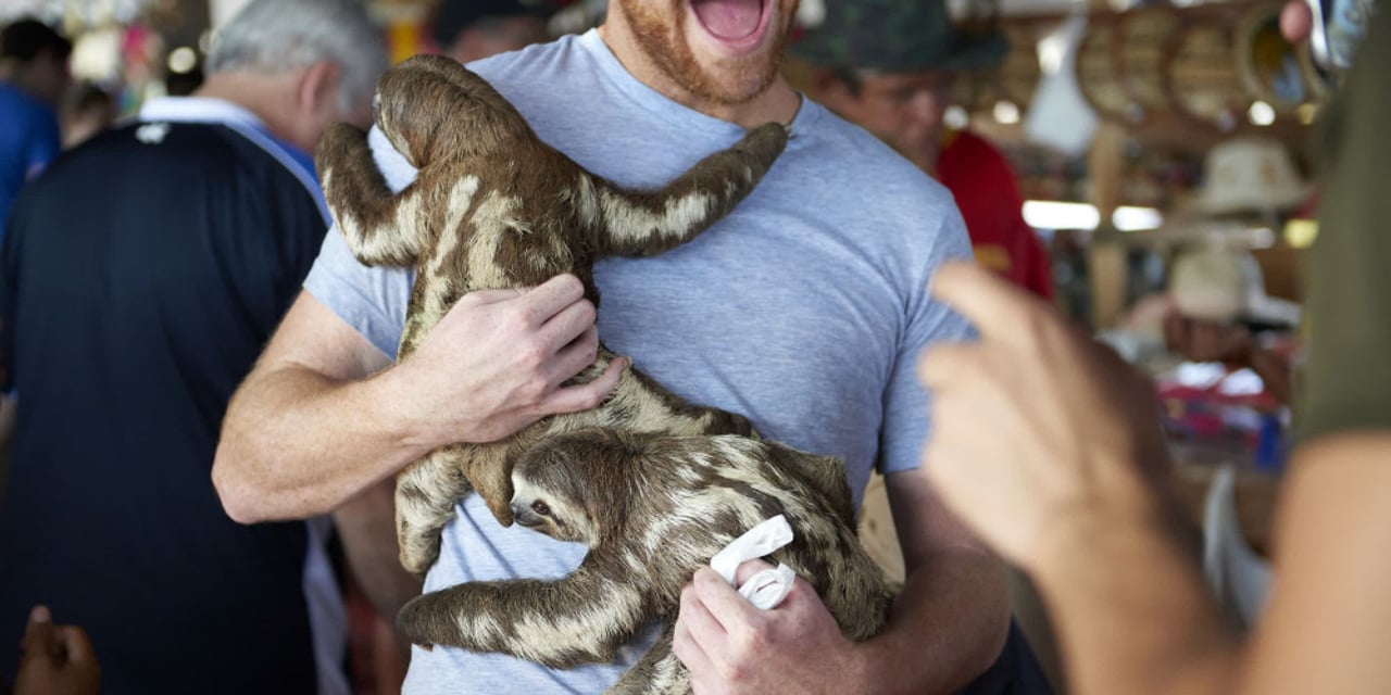 tourist_holding_two_sloths_in_the_amazon