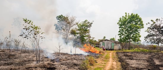 Fire in Brazil's Amazon rainforest