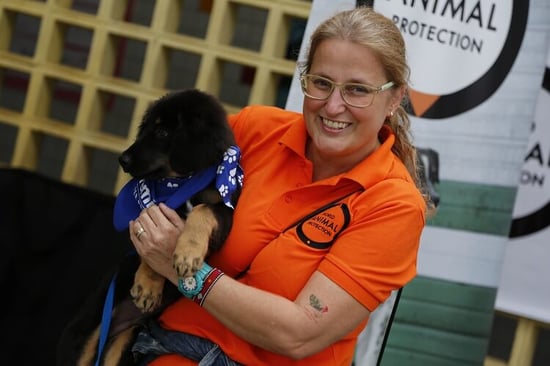 Staff member with dog at vaccination drive, Brazil