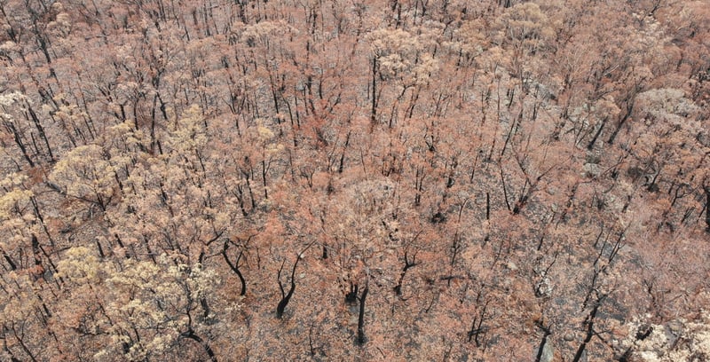 Drone image after Australian bushfires