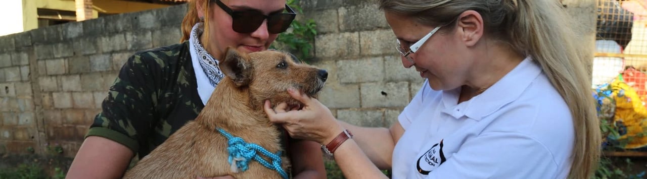 Word Animal protection staff during our animal in communities campaign