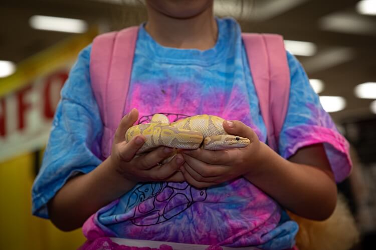 Child holding a snake at pet expo, USA