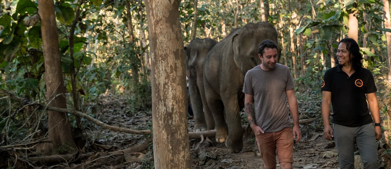 Luang Prabang elephant sanctuary
