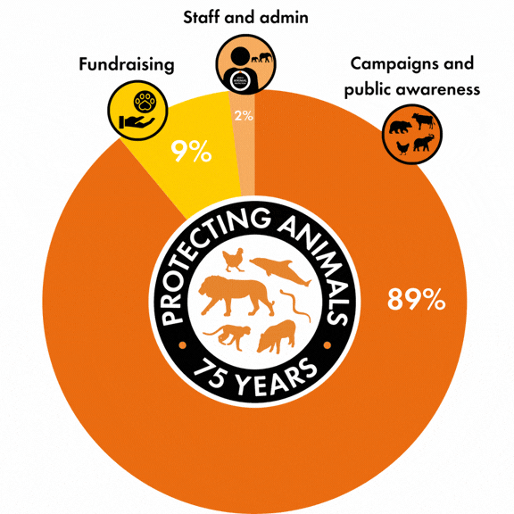 How your money was spent in 2025