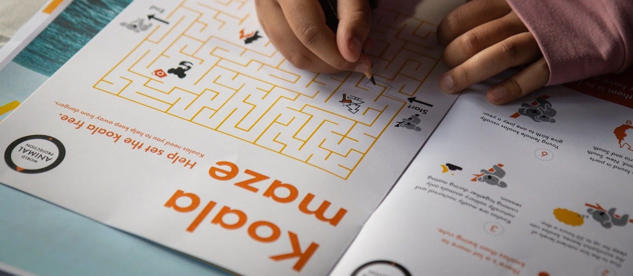 Koala activity book