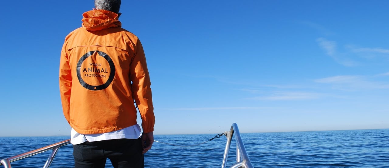 Staff member on the ocean, Dana Point, California, USA