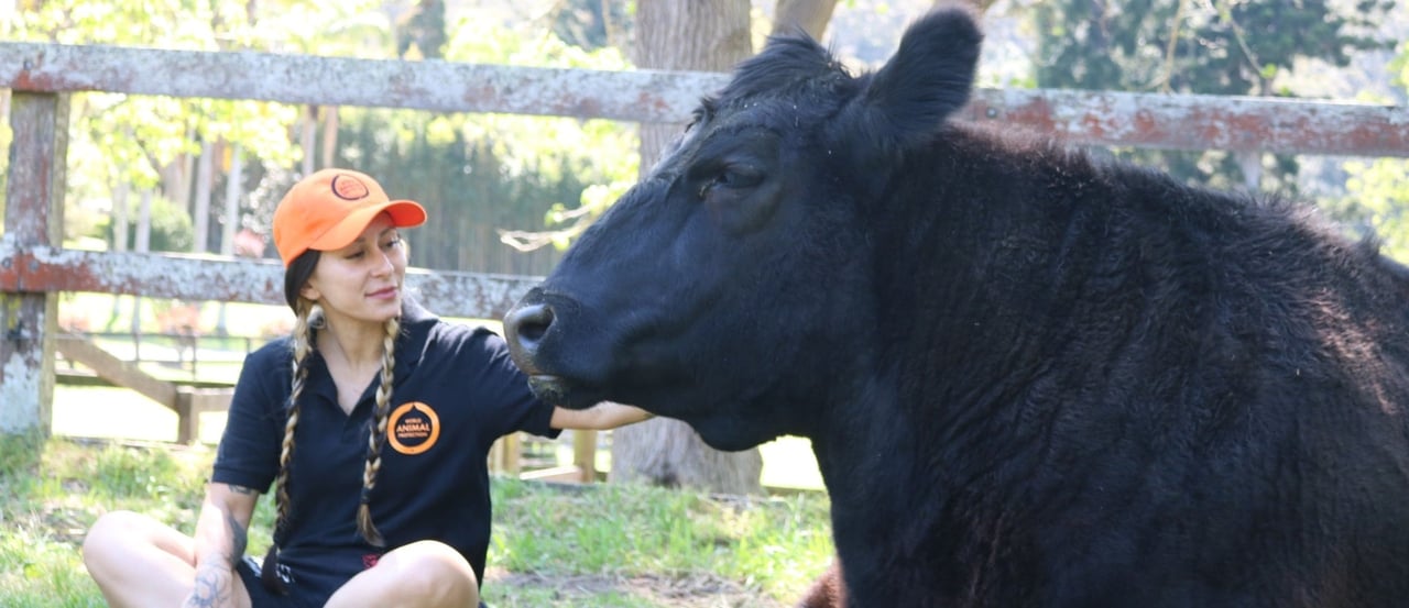 Staff member at Moo to Ewe sanctuary