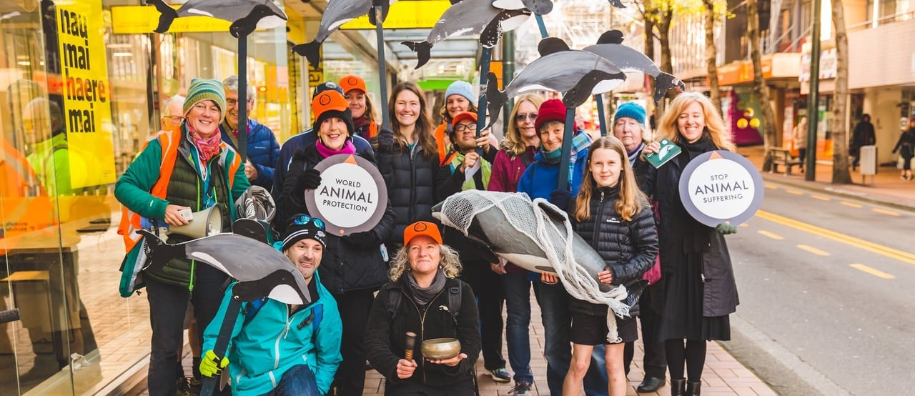 Wellington New Zealand hector and Maui dolphin protest