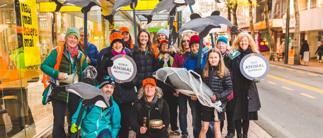 World Animal Protection Māui and Hector’s dolphin’s submission being delivered in Wellington, New Zealand