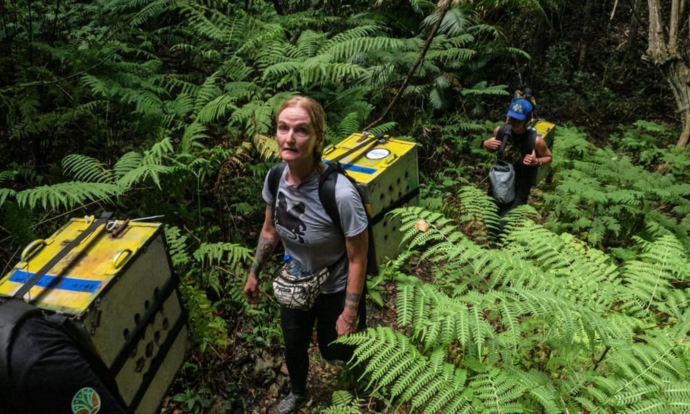 The JAAN team, supported by the army, treks through the jungle with the monkeys on their back