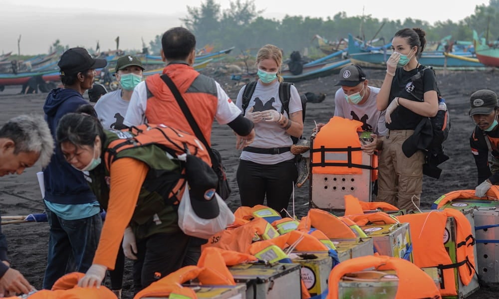 Rescued monkey carriers kept safe with a lifejacket
