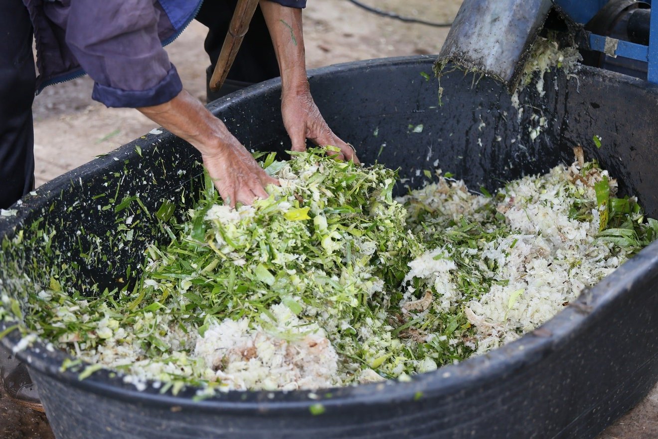 Making food at Elephant Forest, Thailand