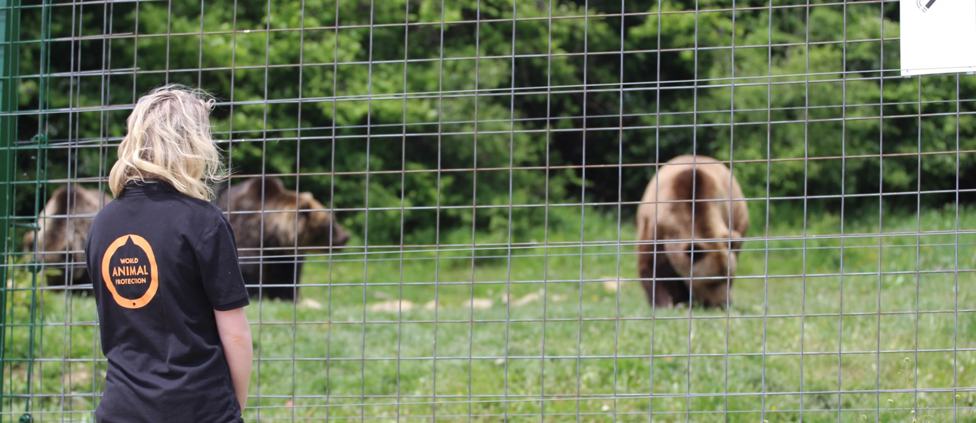 Libearty sanctuary Romania