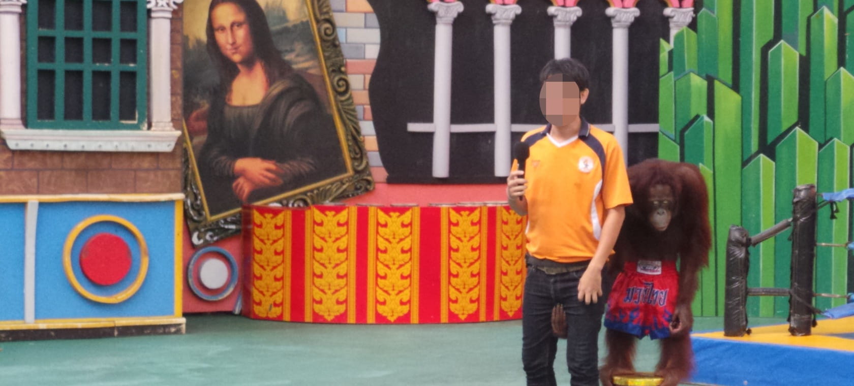 An orangutan performing at a cruel entertainment show