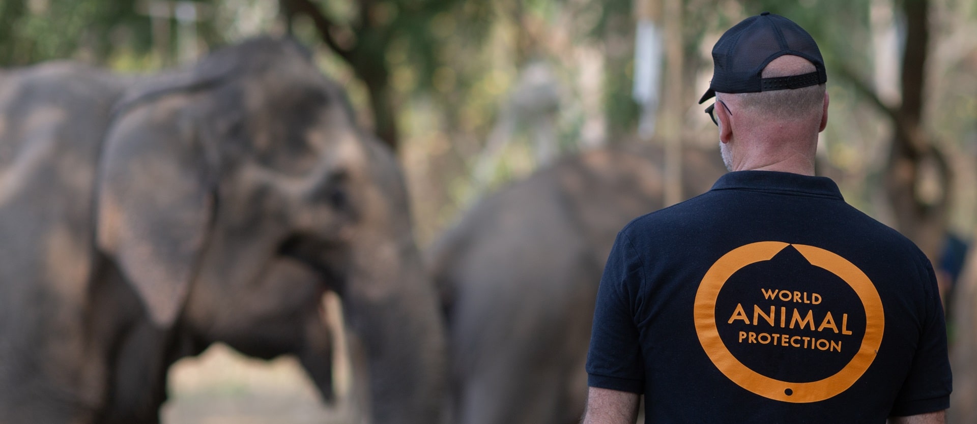 Ben Pearson at the Sappraiwan Elephant Sanctuary