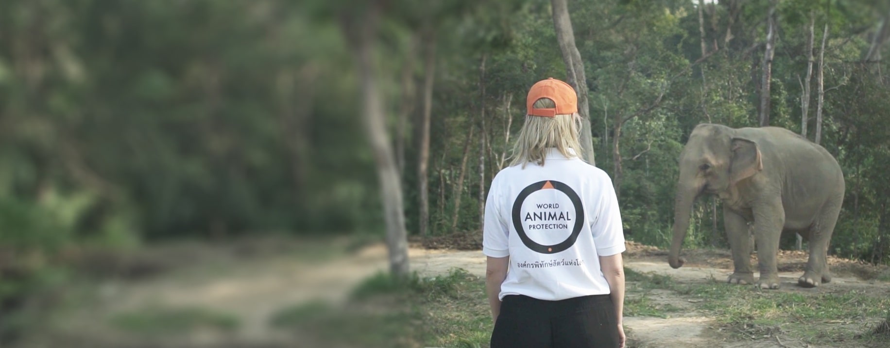 World Animal Protection staff member with elephant
