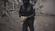 A police officer carries a chicken in the ash-covered village of San Miguel Los Lotes. AFP/Johan ORDONEZ