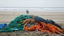Ghost gear found after a beach clean in Cornwall, UK - Sea Change - World Animal Protection