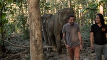 Luang Prabang elephant sanctuary