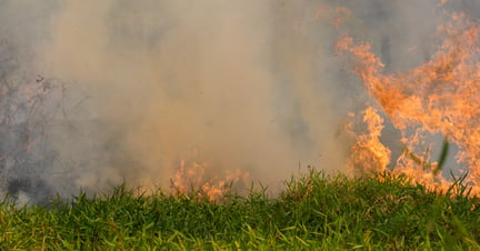 Brazil’s Amazon rainforest in flames
