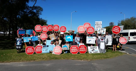 Protestors gather outside Sea World on the Gold Coast