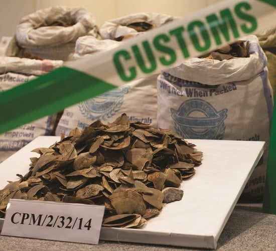 Pangolin scales seized by Hong Kong customs