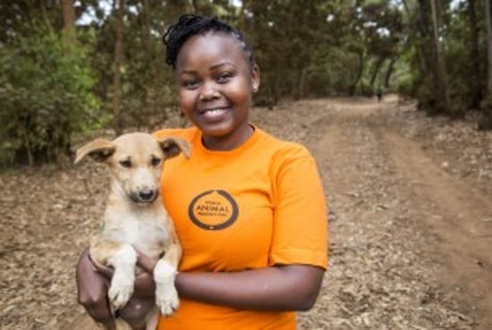 Africa animal protection team member