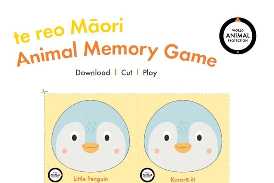 Te reo memory game