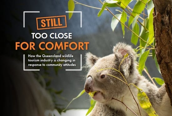 Still too close for comfort report cover