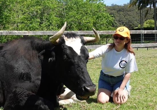 Hannah Smart Communications Manager - Australia Aotearoa New Zealand, with a cow