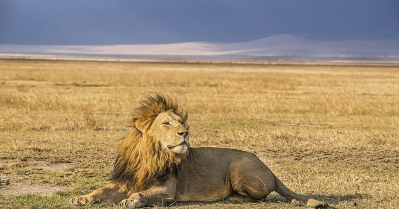 Two year after the death of cecil