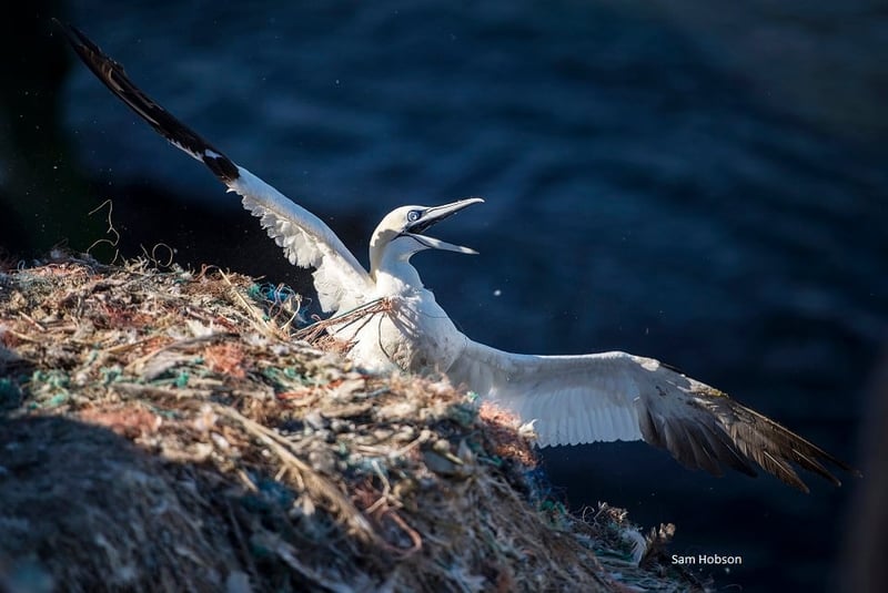 Working together to tackle ghost gear