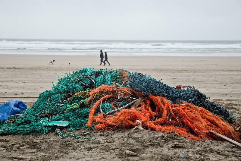 End to harmful fishing subsidies is a positive step for marine animals worldwide.