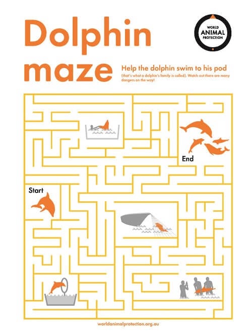 Dolphin maze