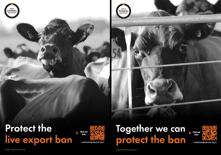 Live export ban posters