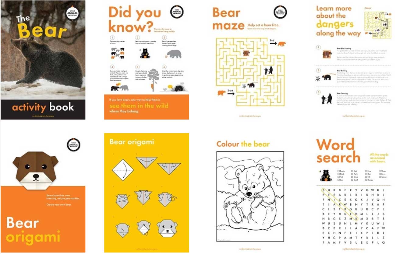 Bear activity book