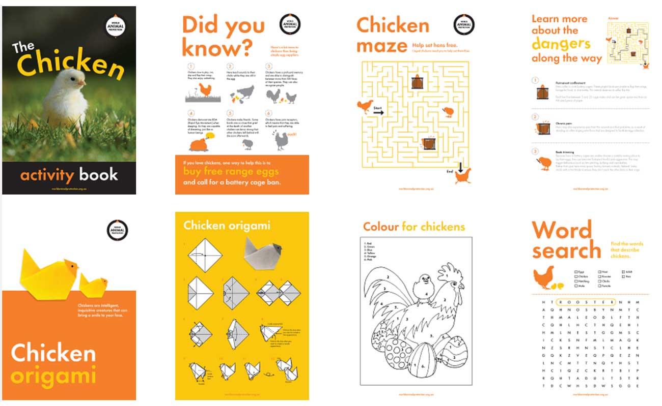 Chicken activity book