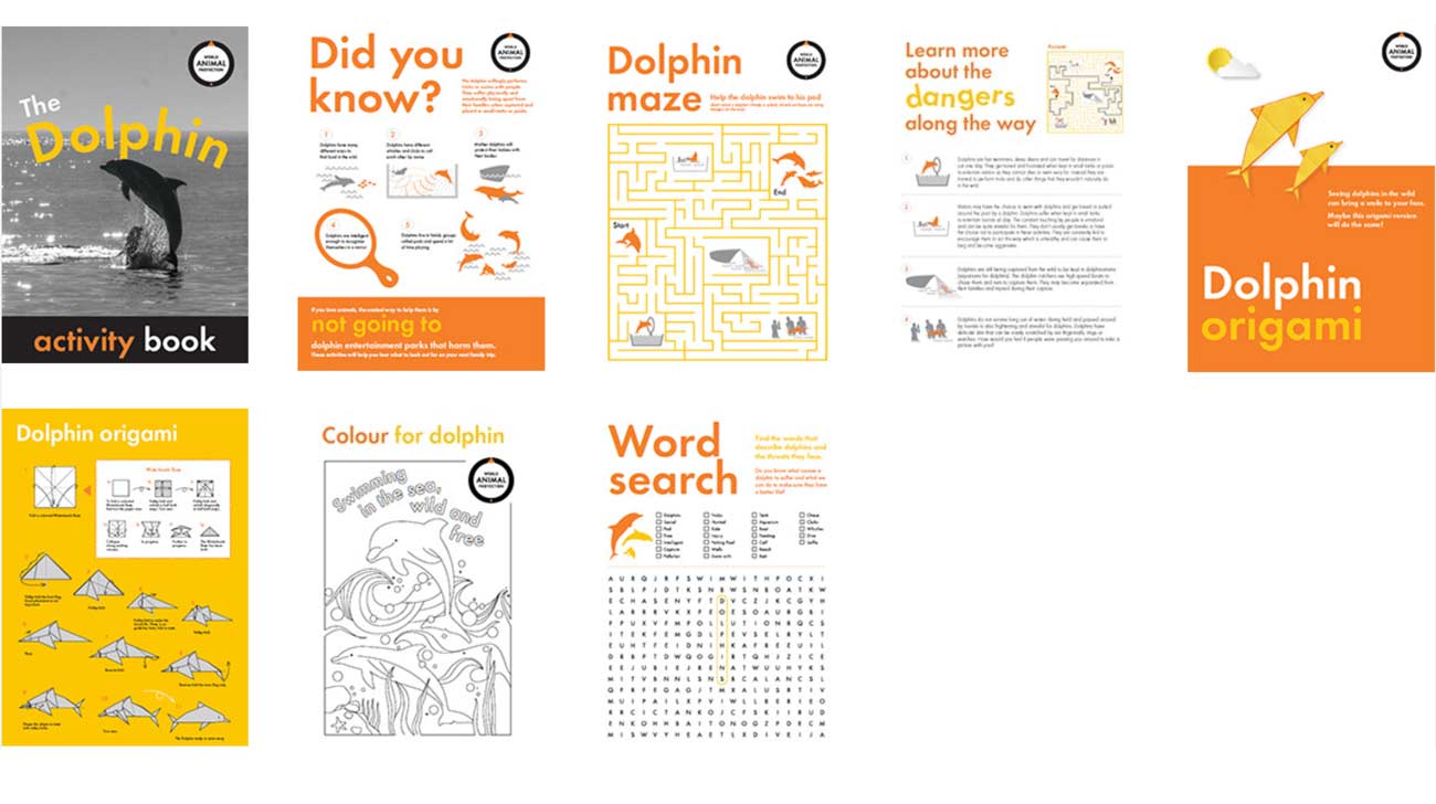 Dolphin activity book