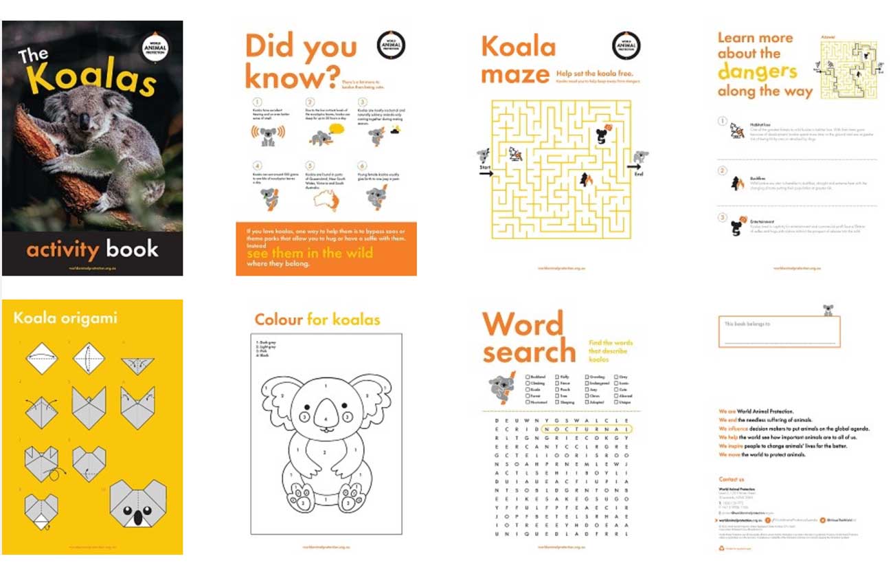 Koala activity book