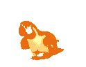 Macaw